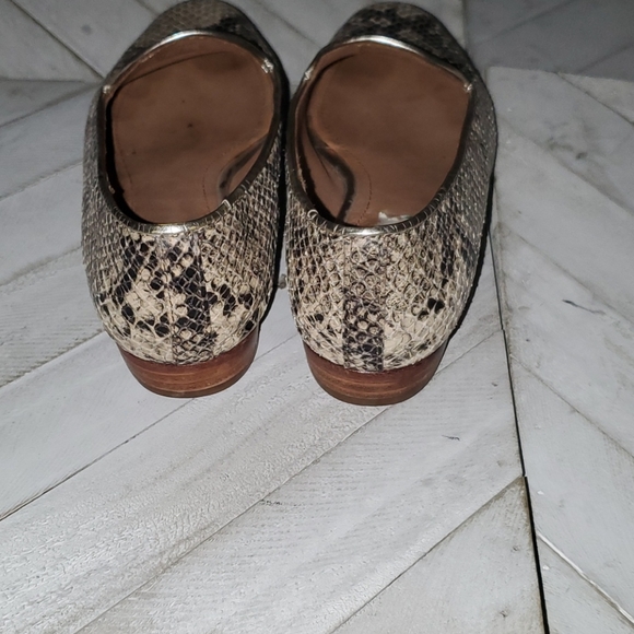 Coach Size 5.5 B Snakeskin Design - Picture 6 of 9